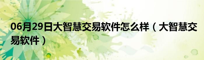 06月29日大智慧交易软件怎么样（大智慧交易软件）