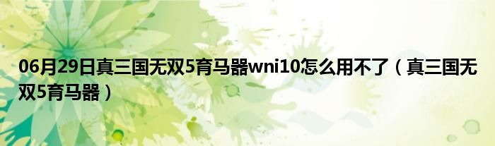 06月29日真三国无双5育马器wni10怎么用不了（真三国无双5育马器）