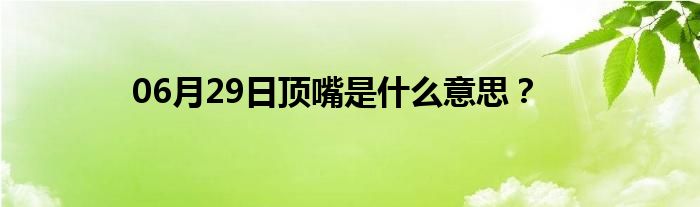 06月29日顶嘴是什么意思？