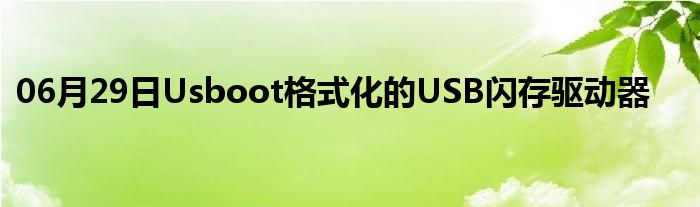 06月29日Usboot格式化的USB闪存驱动器