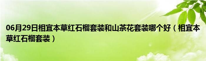 06月29日相宜本草红石榴套装和山茶花套装哪个好（相宜本草红石榴套装）