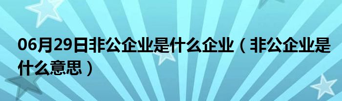 06月29日非公企业是什么企业（非公企业是什么意思）