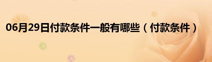 06月29日付款条件一般有哪些（付款条件）