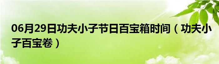 06月29日功夫小子节日百宝箱时间（功夫小子百宝卷）