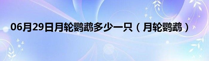 06月29日月轮鹦鹉多少一只（月轮鹦鹉）