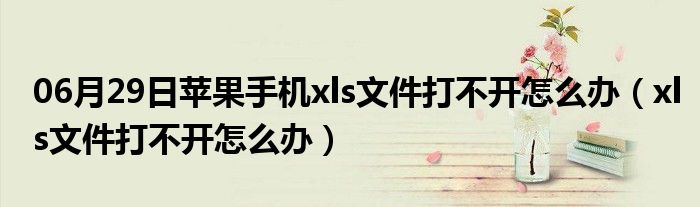 06月29日苹果手机xls文件打不开怎么办（xls文件打不开怎么办）