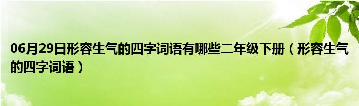 06月29日形容生气的四字词语有哪些二年级下册（形容生气的四字词语）