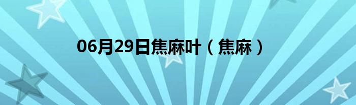 06月29日焦麻叶（焦麻）