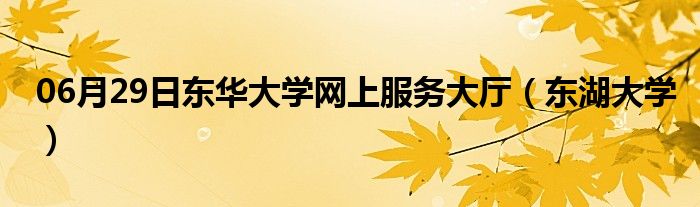 06月29日东华大学网上服务大厅（东湖大学）