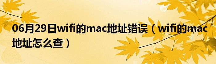 06月29日wifi的mac地址错误（wifi的mac地址怎么查）