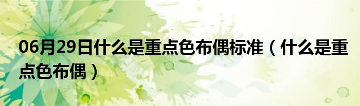 06月29日什么是重点色布偶标准（什么是重点色布偶）