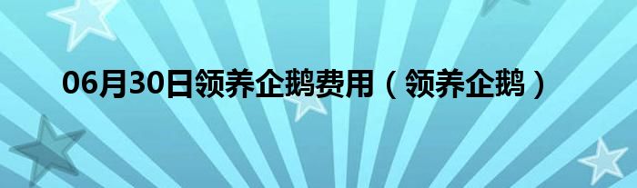 06月30日领养企鹅费用（领养企鹅）