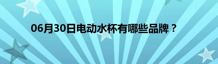 06月30日电动水杯有哪些品牌？