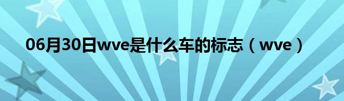 06月30日wve是什么车的标志（wve）