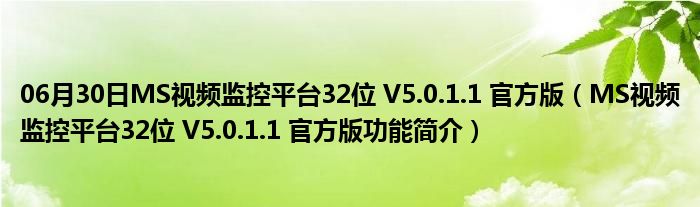 06月30日MS视频监控平台32位 V5.0.1.1 官方版（MS视频监控平台32位 V5.0.1.1 官方版功能简介）