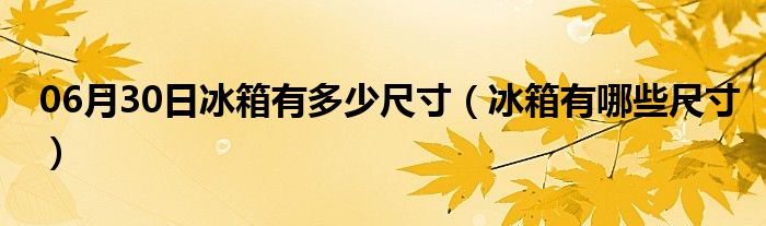 06月30日冰箱有多少尺寸（冰箱有哪些尺寸）