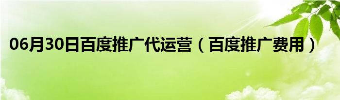 06月30日百度推广代运营（百度推广费用）