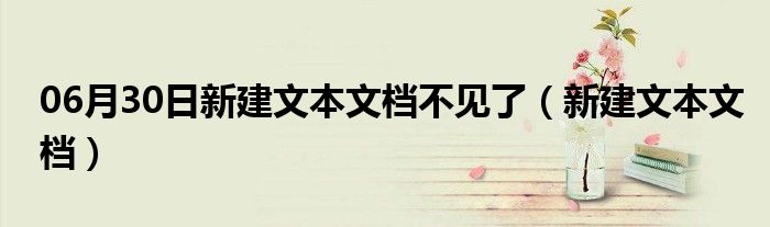 06月30日新建文本文档不见了（新建文本文档）