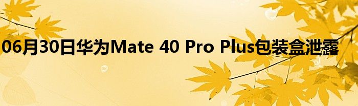 06月30日华为Mate 40 Pro Plus包装盒泄露