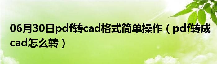 06月30日pdf转cad格式简单操作（pdf转成cad怎么转）