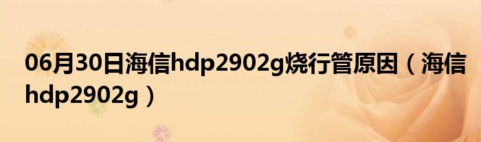 06月30日海信hdp2902g烧行管原因（海信hdp2902g）