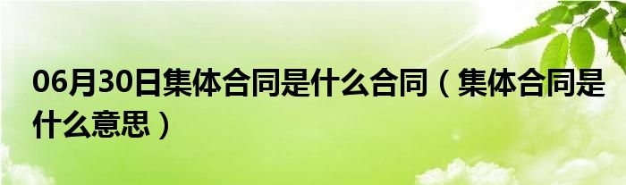 06月30日集体合同是什么合同（集体合同是什么意思）