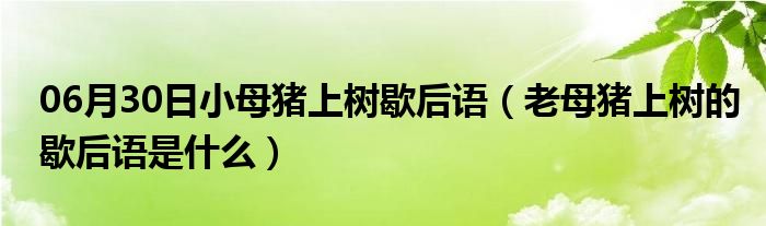 06月30日小母猪上树歇后语（老母猪上树的歇后语是什么）