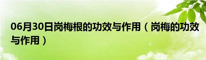 06月30日岗梅根的功效与作用（岗梅的功效与作用）