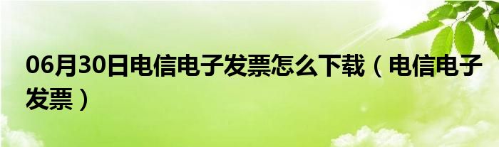 06月30日电信电子发票怎么下载（电信电子发票）