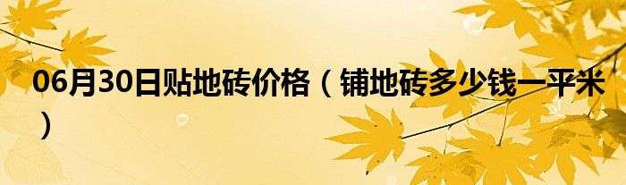 06月30日贴地砖价格（铺地砖多少钱一平米）