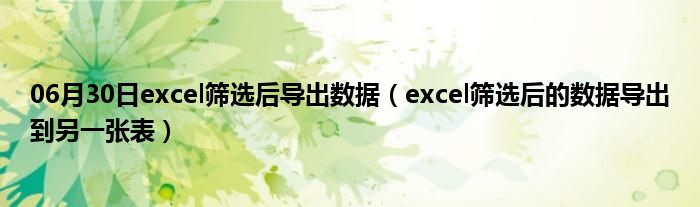 06月30日excel筛选后导出数据（excel筛选后的数据导出到另一张表）