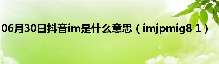 06月30日抖音im是什么意思（imjpmig8 1）