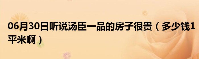 06月30日听说汤臣一品的房子很贵（多少钱1平米啊）