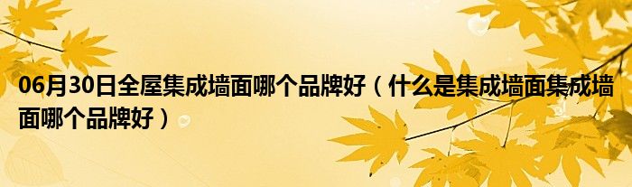 06月30日全屋集成墙面哪个品牌好（什么是集成墙面集成墙面哪个品牌好）