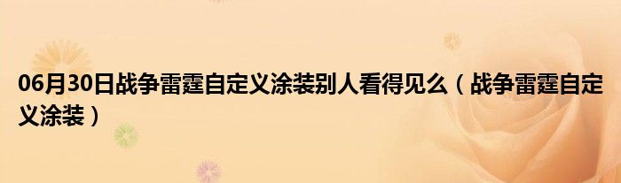 06月30日战争雷霆自定义涂装别人看得见么（战争雷霆自定义涂装）