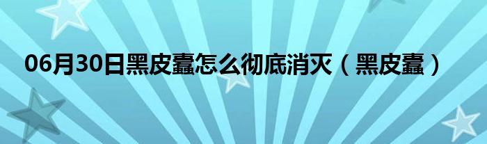 06月30日黑皮蠹怎么彻底消灭（黑皮蠹）