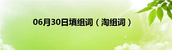 06月30日填组词（淘组词）