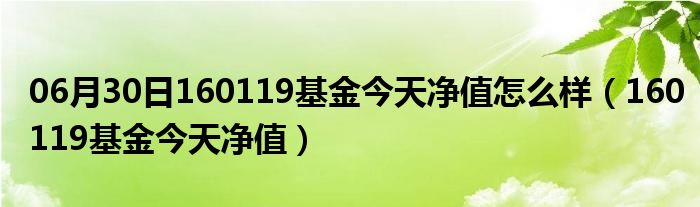 06月30日160119基金今天净值怎么样（160119基金今天净值）