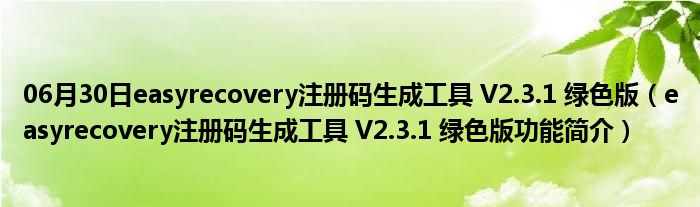 06月30日easyrecovery注册码生成工具 V2.3.1 绿色版（easyrecovery注册码生成工具 V2.3.1 绿色版功能简介）