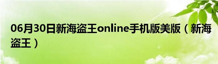 06月30日新海盗王online手机版美版（新海盗王）