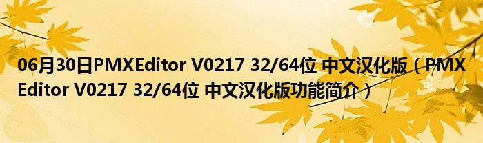 06月30日PMXEditor V0217 32/64位 中文汉化版（PMXEditor V0217 32/64位 中文汉化版功能简介）