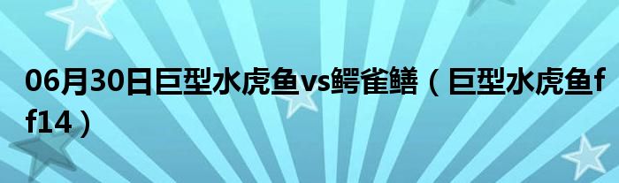 06月30日巨型水虎鱼vs鳄雀鳝（巨型水虎鱼ff14）