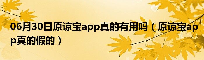 06月30日原谅宝app真的有用吗（原谅宝app真的假的）