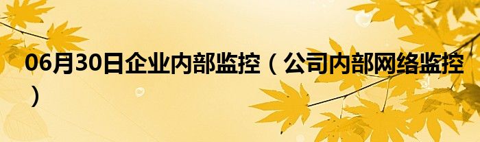 06月30日企业内部监控（公司内部网络监控）