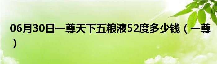 06月30日一尊天下五粮液52度多少钱（一尊）