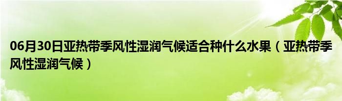 06月30日亚热带季风性湿润气候适合种什么水果（亚热带季风性湿润气候）