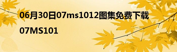 06月30日07ms1012图集免费下载|07MS101