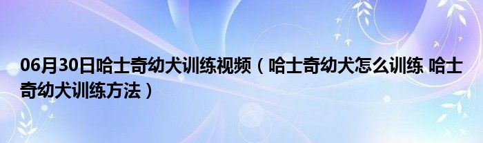 06月30日哈士奇幼犬训练视频（哈士奇幼犬怎么训练 哈士奇幼犬训练方法）