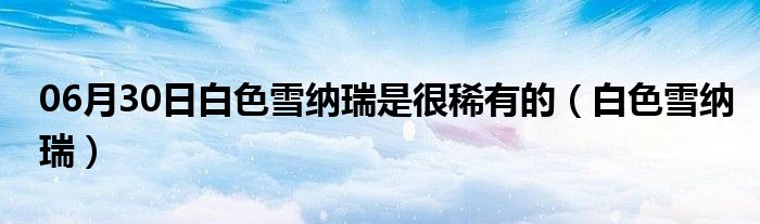 06月30日白色雪纳瑞是很稀有的（白色雪纳瑞）