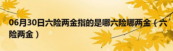 06月30日六险两金指的是哪六险哪两金（六险两金）